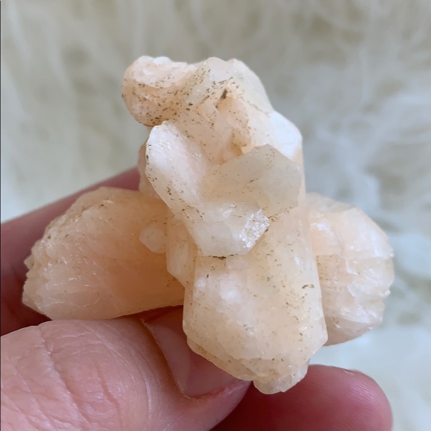 Peach Stillbite